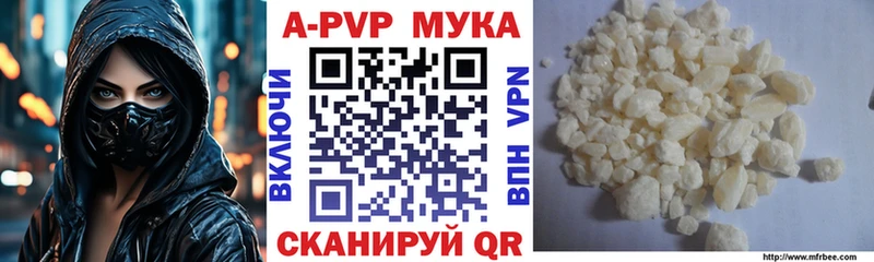 сколько стоит  Шилка  KRAKEN вход  A PVP СК 