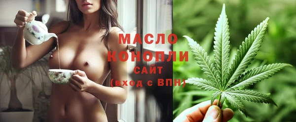 винт Лабытнанги