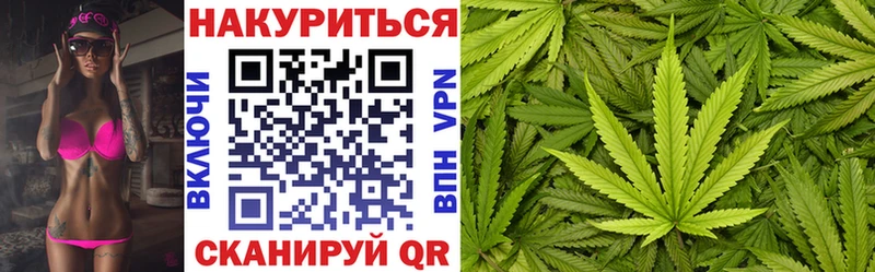 Шишки марихуана Bruce Banner  kraken зеркало  мориарти наркотические препараты  Шилка 